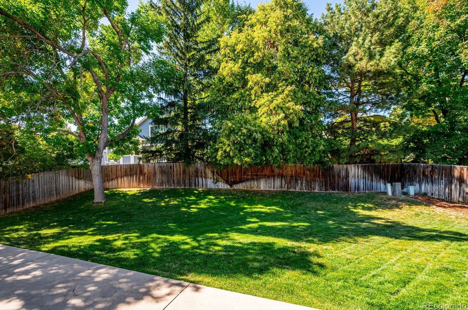 5937 Ward St, Littleton CO exterior