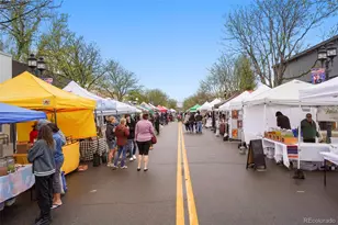 1199 Morning Side Dr, Erie, CO 80516 - Photo 16