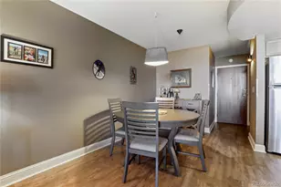 1313 N Williams St, Denver, CO 80218 - Photo 10