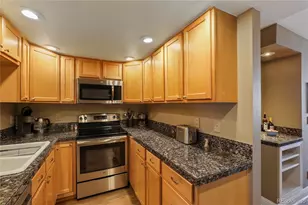 1313 N Williams St, Denver, CO 80218 - Photo 14