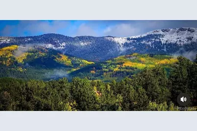 1682 Clark Road, Bailey, CO 80421 - Photo 1