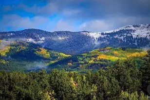 1682 Clark Rd, Bailey, CO 80421 - Photo 1