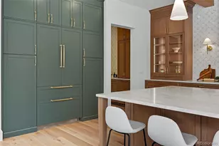 1184 S Williams St, Denver, CO 80210 - Photo 10