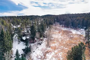 10783 Fox Trot Ln, Conifer, CO 80433 - Photo 46