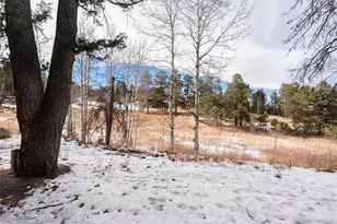 10783 Fox Trot Ln, Conifer, CO 80433 - Photo 32