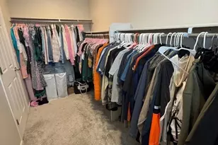 16423 Askins Loop, Parker, CO 80134 - Photo 28