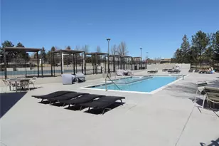 16423 Askins Loop, Parker, CO 80134 - Photo 44