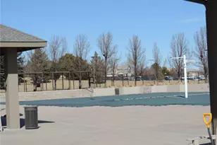 16423 Askins Loop, Parker, CO 80134 - Photo 48