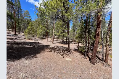 1013 Sequoia Drive, Twin Lakes, CO 81251 - Photo 40