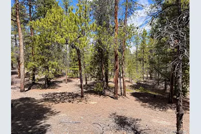 1013 Sequoia Drive, Twin Lakes, CO 81251 - Photo 20