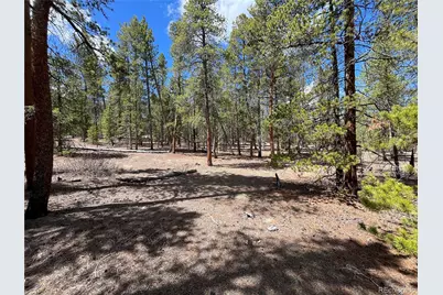 1013 Sequoia Drive, Twin Lakes, CO 81251 - Photo 10