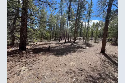1013 Sequoia Drive, Twin Lakes, CO 81251 - Photo 46