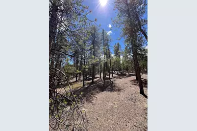 1013 Sequoia Drive, Twin Lakes, CO 81251 - Photo 12