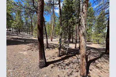 1013 Sequoia Drive, Twin Lakes, CO 81251 - Photo 38