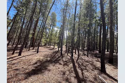 1013 Sequoia Drive, Twin Lakes, CO 81251 - Photo 26
