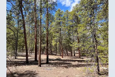 1013 Sequoia Drive, Twin Lakes, CO 81251 - Photo 36