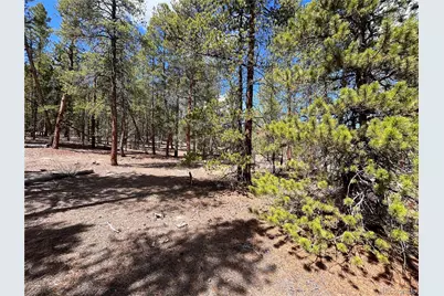 1013 Sequoia Drive, Twin Lakes, CO 81251 - Photo 32