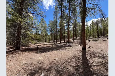 1013 Sequoia Drive, Twin Lakes, CO 81251 - Photo 8