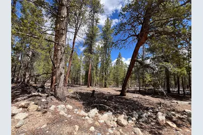 1013 Sequoia Drive, Twin Lakes, CO 81251 - Photo 2