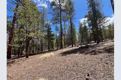 1013 Sequoia Drive, Twin Lakes, CO 81251 - Photo 4