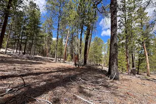 1013 Sequoia Dr, Twin Lakes, CO 81251 - Photo 1