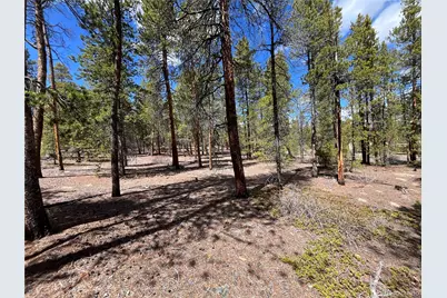 1013 Sequoia Drive, Twin Lakes, CO 81251 - Photo 16
