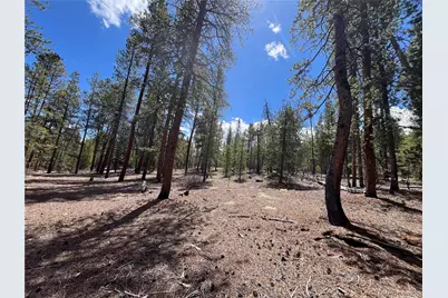 1013 Sequoia Drive, Twin Lakes, CO 81251 - Photo 28
