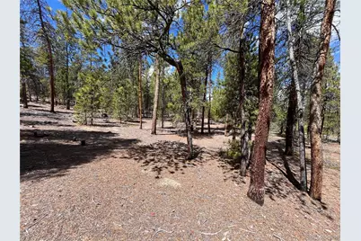 1013 Sequoia Drive, Twin Lakes, CO 81251 - Photo 18