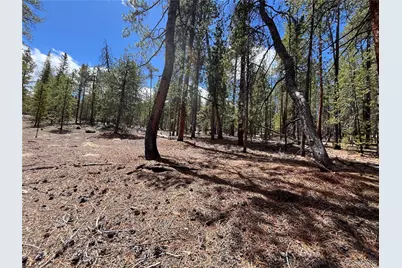 1013 Sequoia Drive, Twin Lakes, CO 81251 - Photo 6