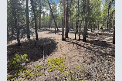 1013 Sequoia Drive, Twin Lakes, CO 81251 - Photo 14