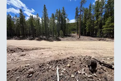 1013 Sequoia Drive, Twin Lakes, CO 81251 - Photo 44