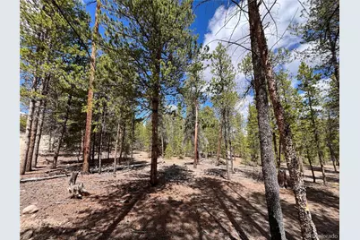 1013 Sequoia Drive, Twin Lakes, CO 81251 - Photo 22