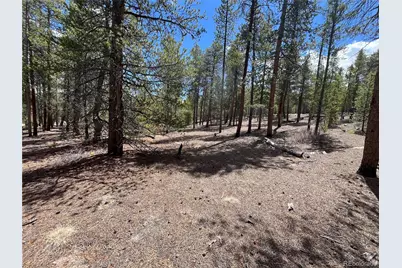 1013 Sequoia Drive, Twin Lakes, CO 81251 - Photo 30