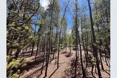 1013 Sequoia Drive, Twin Lakes, CO 81251 - Photo 24