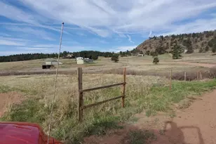 466 Spring Valley Dr, Florissant, CO 80816 - Photo 1