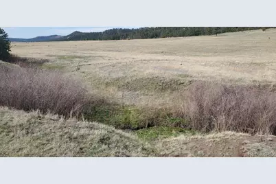 466 Spring Valley Drive, Florissant, CO 80816 - Photo 12