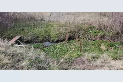 466 Spring Valley Drive, Florissant, CO 80816 - Photo 6