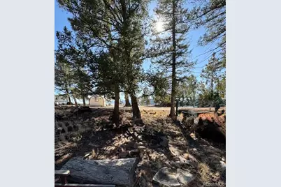 186 Lantern Loop, Hartsel, CO 80449 - Photo 2