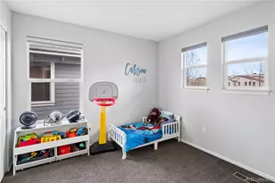 8894 E 29th Pl, Denver, CO 80238 - Photo 18