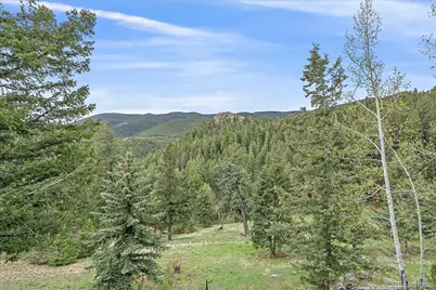 787 W Meadow Road, Evergreen, CO 80439 - Photo 40