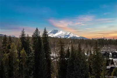 38 Wheeler Road, Winter Park, CO 80482 - Photo 44