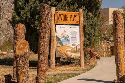 1735 Albion Street, Denver, CO 80220 - Photo 32