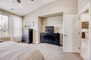 9534 Rosato Ct, Highlands Ranch, CO 80126 - Photo 18