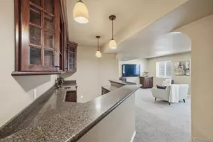 6101 S Shawnee St, Centennial, CO 80015 - Photo 38