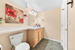 19249 E Downy Creek Pl, Parker, CO 80134 - Photo 30