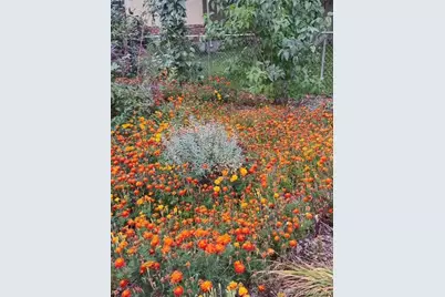 3333 W Wagon Trail Drive, Englewood, CO 80110 - Photo 30