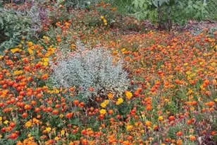 3333 W Wagon Trail Dr, Englewood, CO 80110 - Photo 30