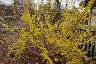 3333 W Wagon Trail Dr, Englewood, CO 80110 - Photo 32