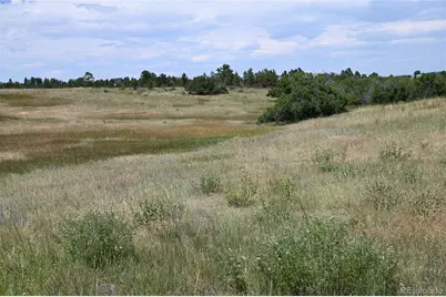 1579 Deerpath Road, Franktown, CO 80116 - Photo 18