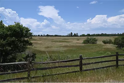 1579 Deerpath Road, Franktown, CO 80116 - Photo 8